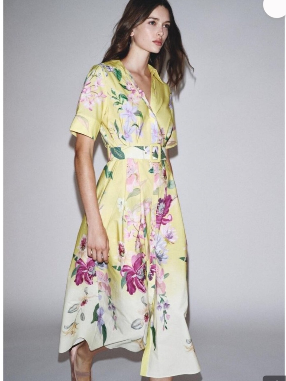 Zara NWT belted floral midi dress 8620/134